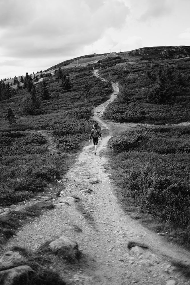 Roadtrip Norway - Denmark, Sweden
