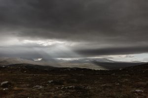 Roadtrip Norway - Denmark, Sweden