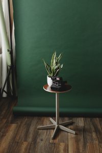 contact Recent studio scene✨ With a new backdrop color! Come in and take a seat. Book your portrait session through the link in bio. #studioshoot #portraitsession #portretfotografie