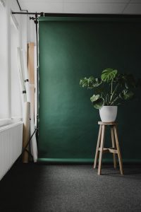 Recent studio scene✨ With a new backdrop color! Come in and take a seat. Book your portrait session through the link in bio. #studioshoot #portraitsession #portretfotografie