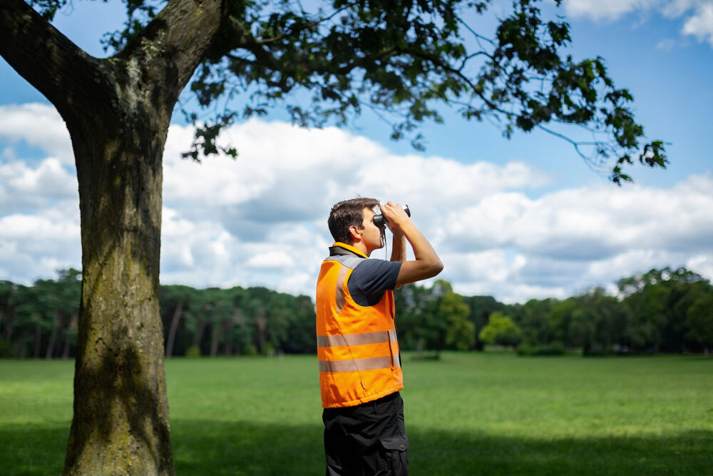 Huting.net Jurriaan Nijmegen Bedrijfsfotografie - Cobra groeninzicht