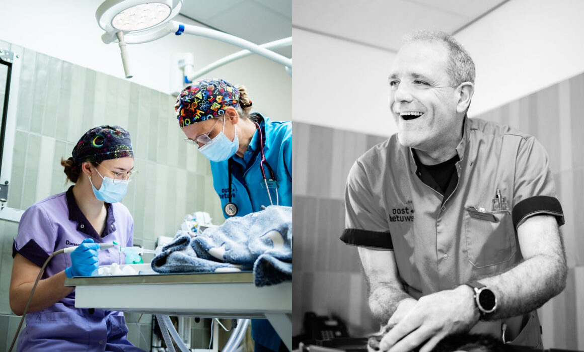 Bedrijfsfotografie Dactari - Dierenkliniek Oost-Betuwe