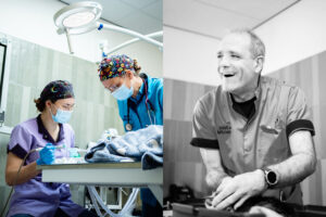 Bedrijfsfotografie Dactari - Dierenkliniek Oost-Betuwe